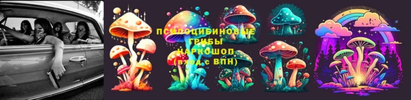 прущий лед Арсеньев