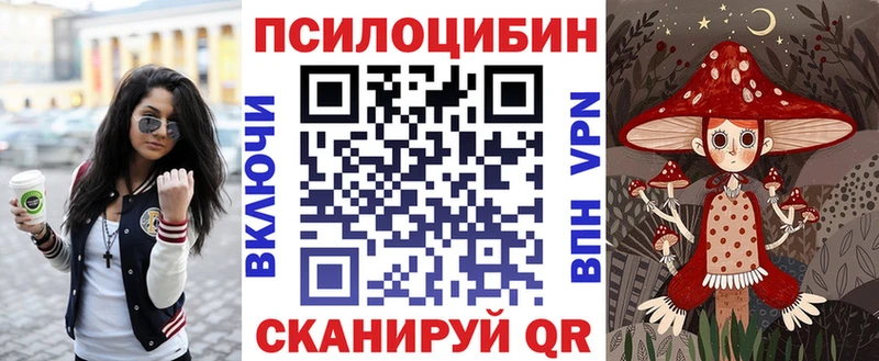 Галлюциногенные грибы Cubensis  закладка  Сергач 